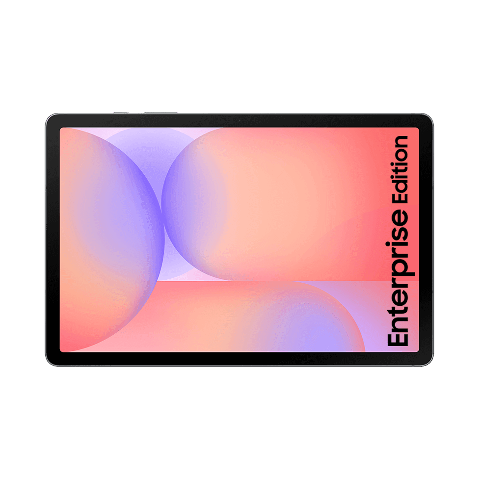 SAMSUNG GALAXY TAB S10 LITE ENT ED 128GB Grey